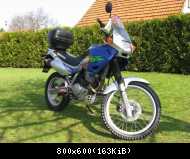 NX 650 2